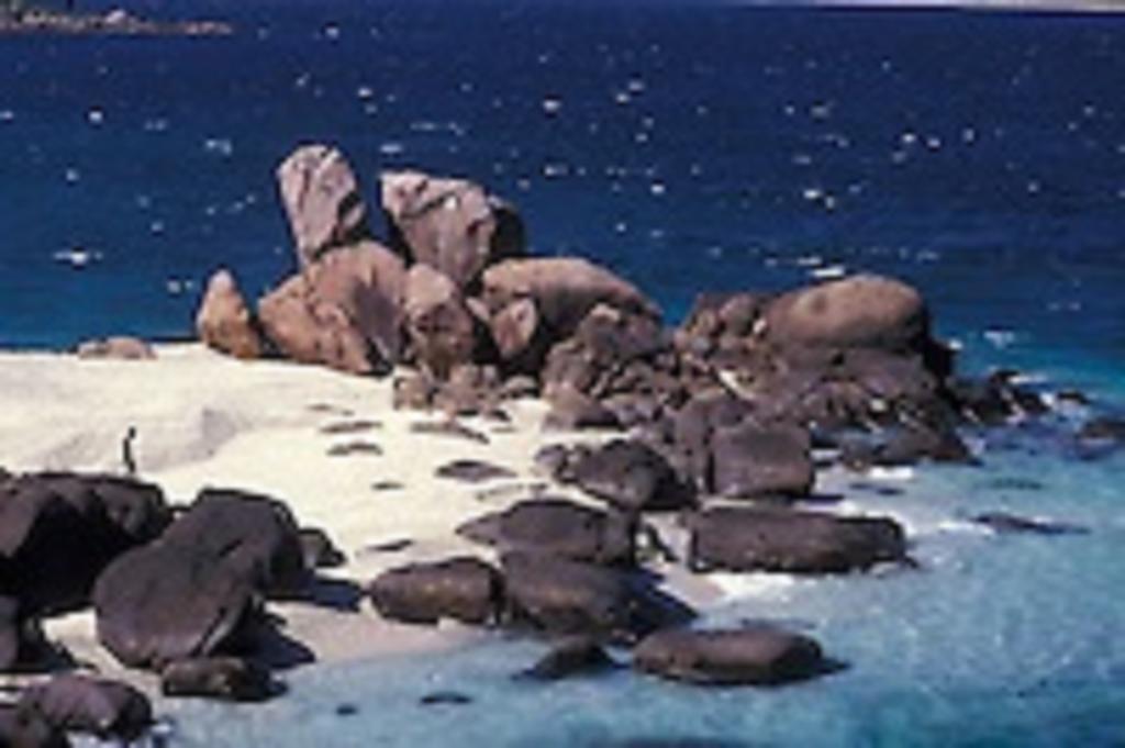 Zimbay Guest House Arugam Kudah Eksteriør bilde